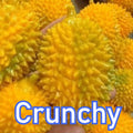 Durian Crunch Squishy with soft yellow spikes held in a hand above real durian fruit