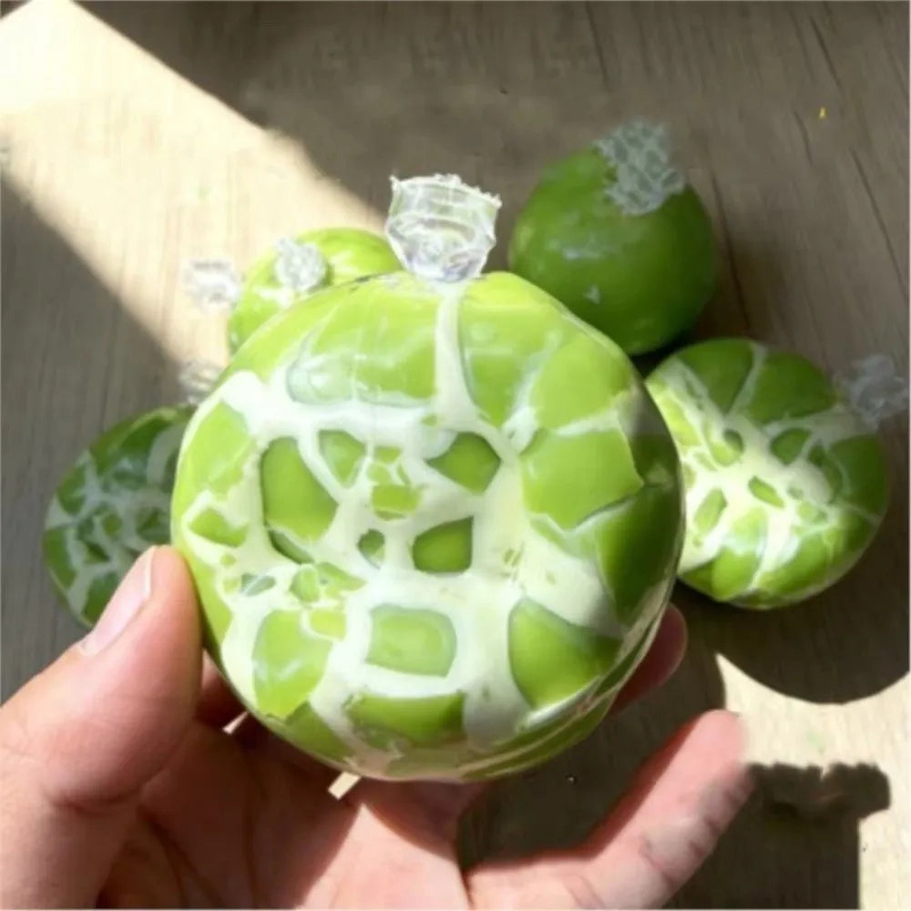 Green Grape Crunch Squishy
