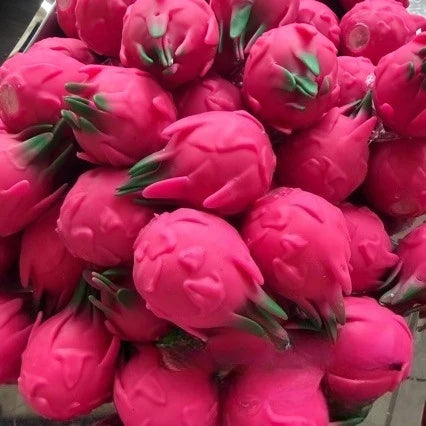 Dragon Fruit Crunch Squishy — product photo 4