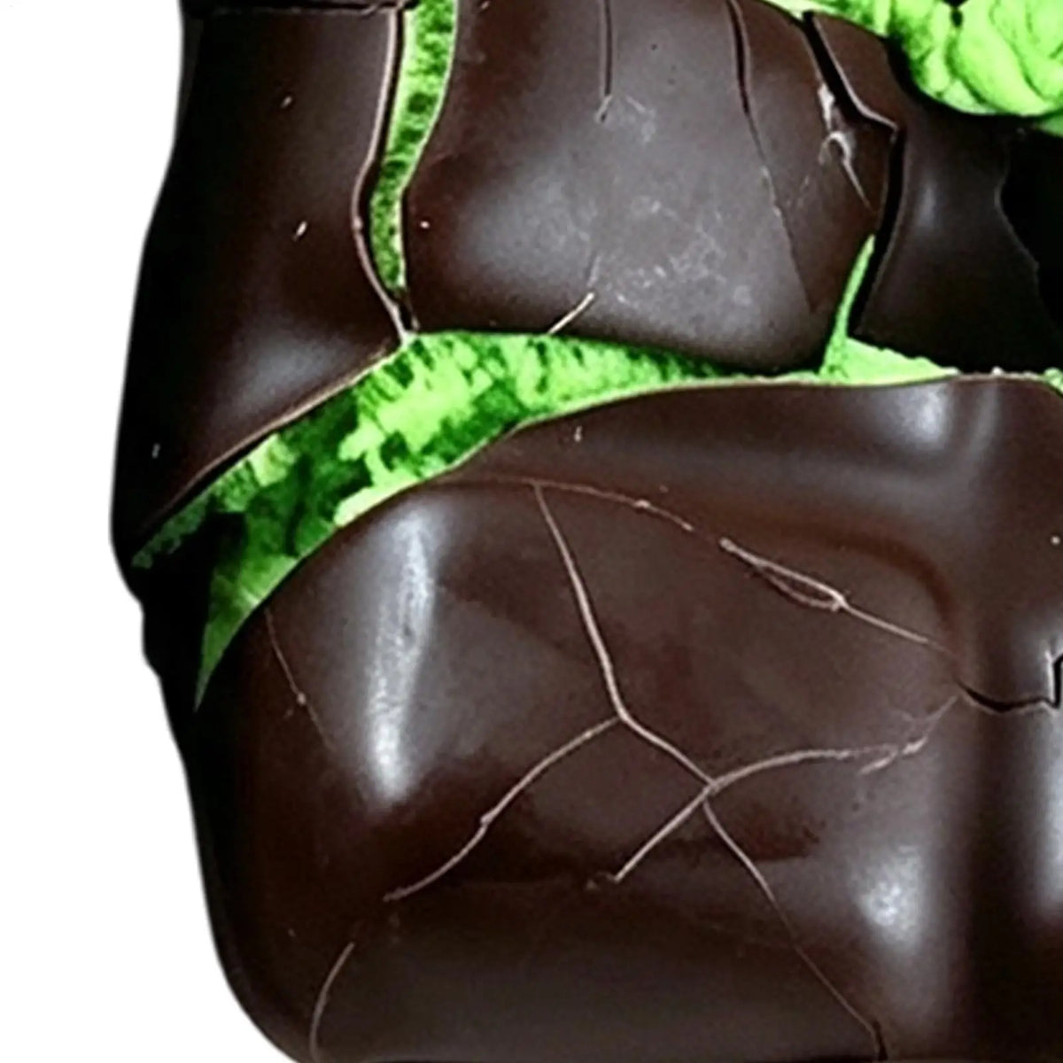 Chocolate Crunch Squishy