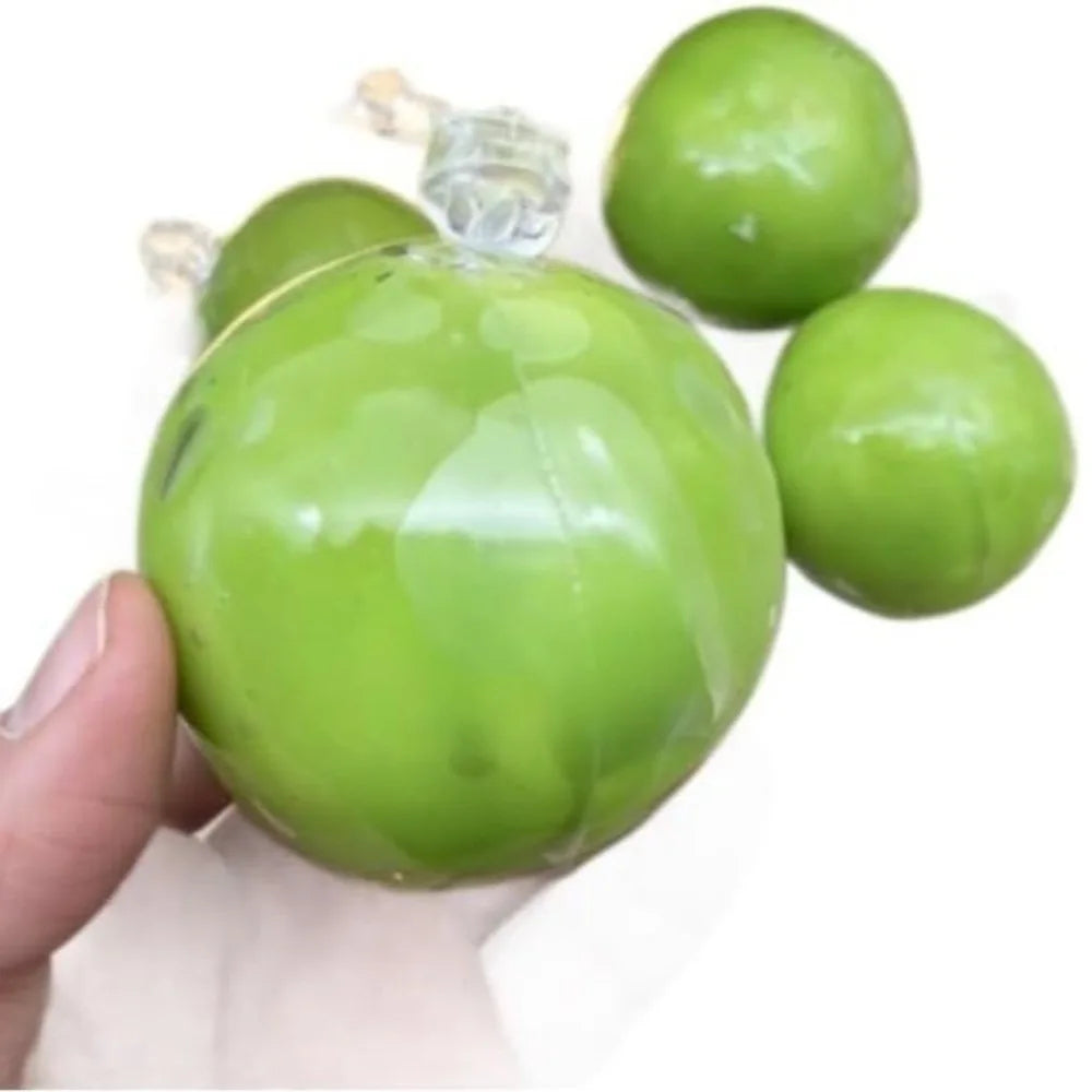 Green Grape Crunch Squishy